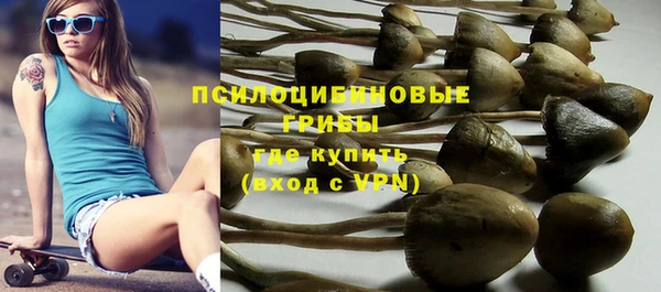 метамфетамин Белокуриха